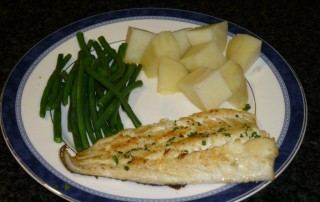 Fantastic Fish